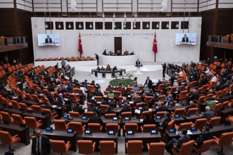 Sokak hayvanları d&uuml;zenlemesi Meclis Genel Kurulu'nda