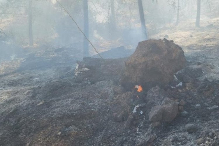 Hatay'da orman yangını kontrol altında