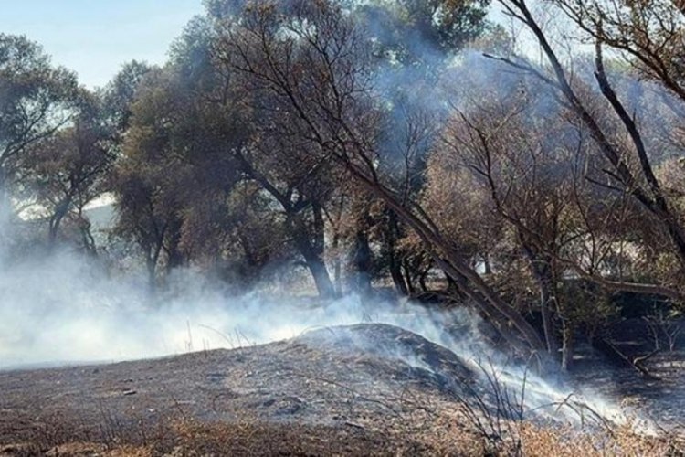 Tekirdağ'da iki ayrı piknik alanında &ccedil;ıkan yangın s&ouml;nd&uuml;r&uuml;ld&uuml;