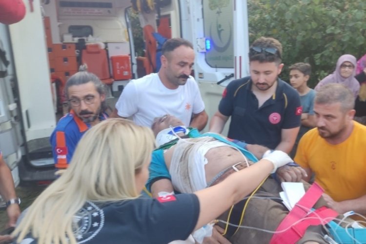 D&uuml;zce'de fındık bah&ccedil;esinde tırpan yaparken u&ccedil;uruma yuvarlandı