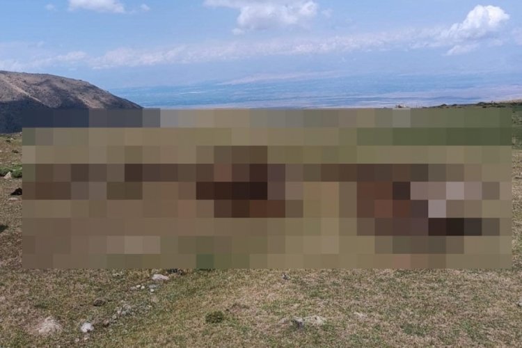 Iğdır'da s&uuml;r&uuml;ye yıldırım d&uuml;şt&uuml;! 70 koyun telef olurken s&uuml;r&uuml; sahibi yaralandı