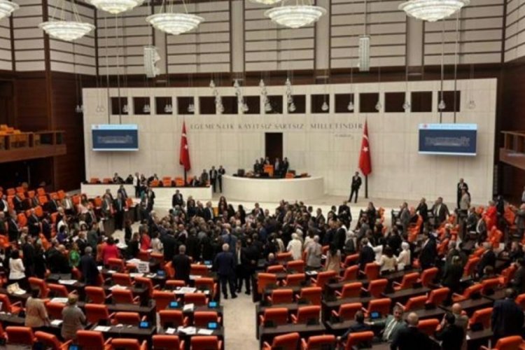 Sokak hayvanları d&uuml;zenlemesi Meclis Genel Kurulu'nda: CHP'li vekillerden eldivenli protesto