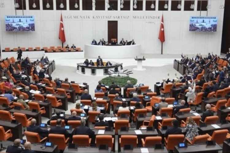 Sokak hayvanları yasa tasarısının 5 maddesi kabul edildi