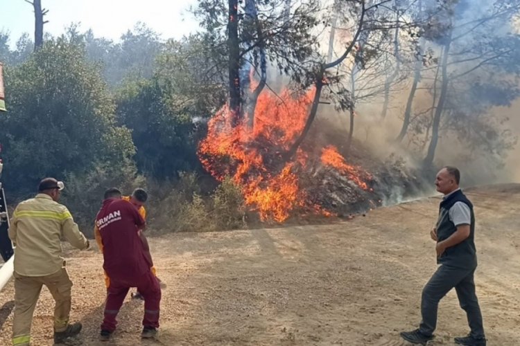 Adana, Antalya ve Kahramanmaraş'ta &ccedil;ıkan orman yangınında son durum!