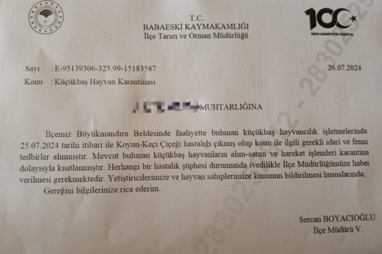 Kırklareli'nde &ccedil;i&ccedil;ek hastalığı: K&uuml;&ccedil;&uuml;kbaş hayvanlarına yayıldı!