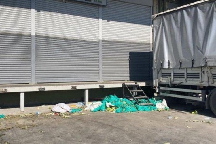 İstanbul'da meyve halinde kan aktı