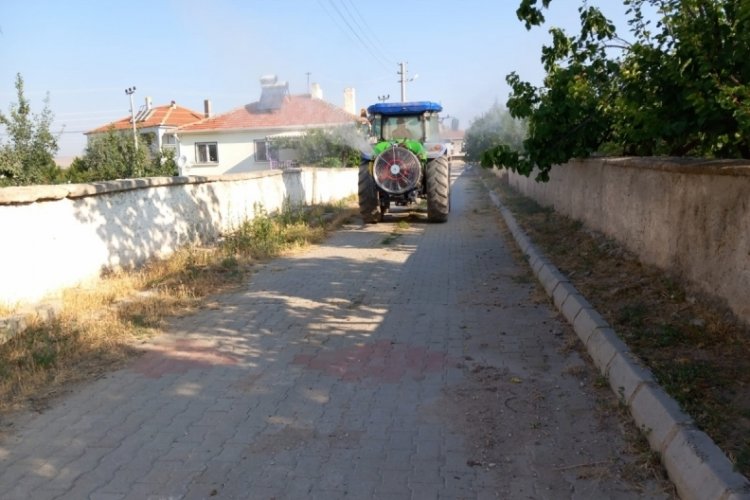 Afyonkarahisar'da sivrisinek m&uuml;cadele ila&ccedil;lama &ccedil;alışmaları titizlikle yapıldı!