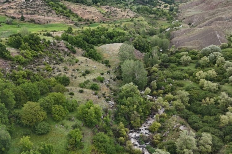 Iğdır'da nefes kesen doğal manzara don ile g&ouml;r&uuml;nt&uuml;lendi!