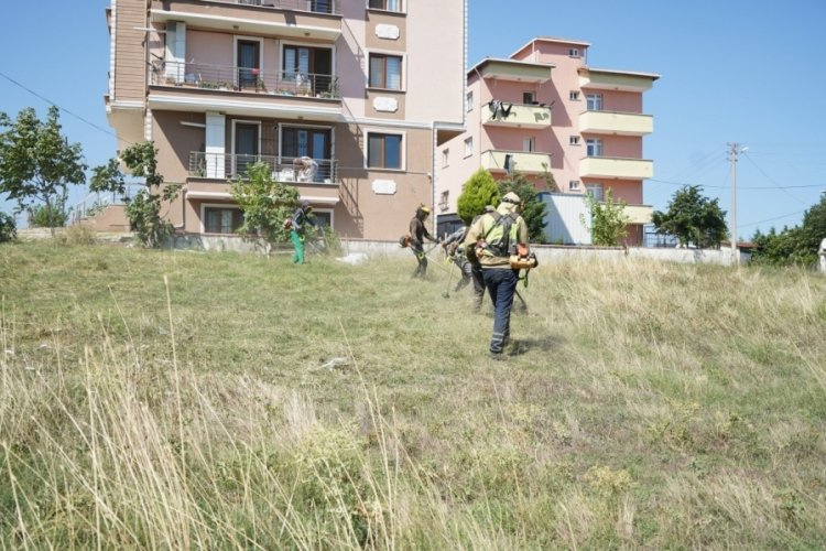 Kocaeli'nde yabani ot temizliği titizlikle devam ediyor