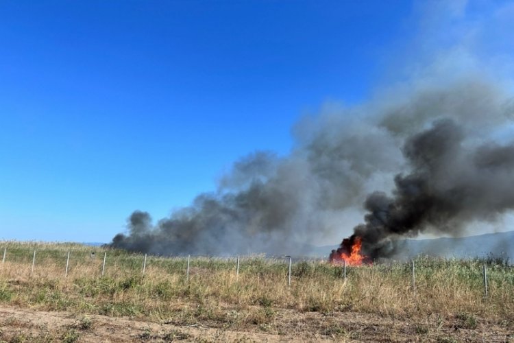 Bursa İznik G&ouml;l&uuml; Orhangazi sahilinde sazlık yangını