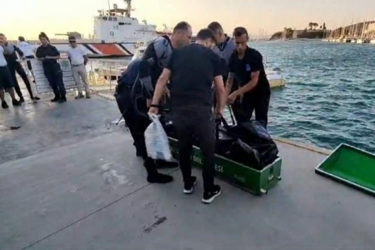 Cesedi boynuna taş bağlanmış şekilde denizin dibinde bulundu