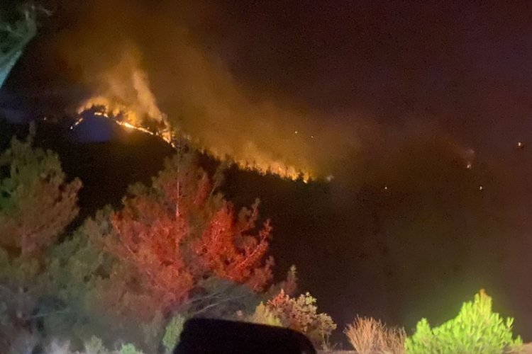 Kahramanmaraş'taki orman yangını kontrol altına alındı