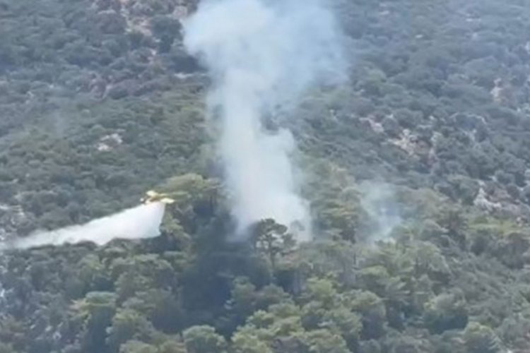 Muğla Ortaca'da orman yangını