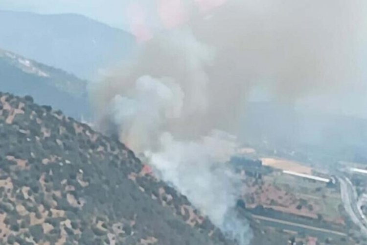 Muğla Milas'taki yangın kontrol altına alındı
