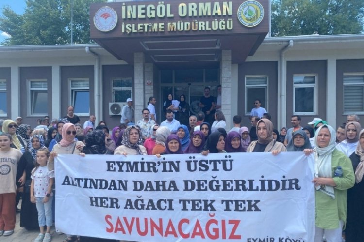 Bursa'da DOĞADER altın arama &ccedil;alışmalarına tepki g&ouml;sterdi