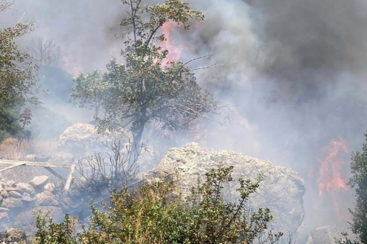Muğla'da makilik yangını