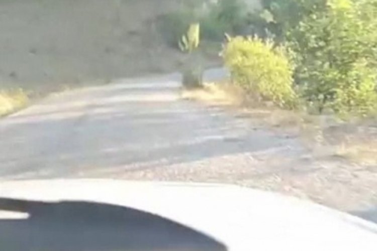 Canlı yayın yaparken u&ccedil;urumdan d&uuml;şt&uuml;ler: 4 yaralı!
