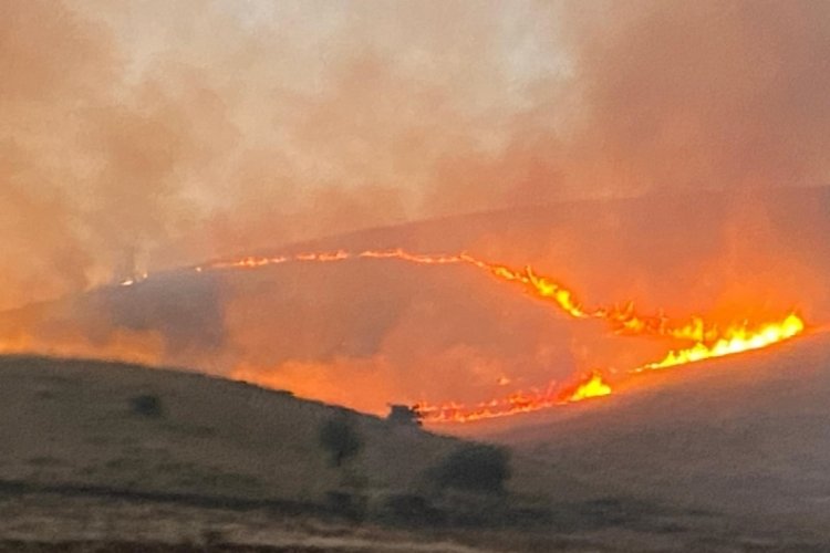 Malatya'da y&uuml;zlerce d&ouml;n&uuml;m alanda anız yangını