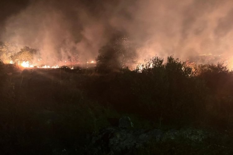 Manisa'da ağa&ccedil;lık alanda yangın