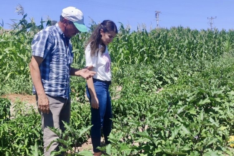 Uşak'ta tarlaların topraktan  ve ekili alanlarda &uuml;r&uuml;n &ccedil;ıkış kontrolleri titizlikle yapıldı!