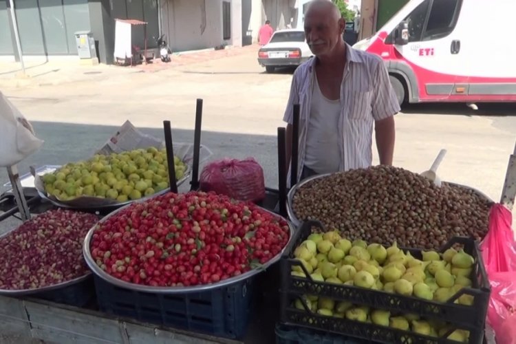İncirin tane fiyatı 15 lira: Ben bunu nasıl alıp yiyeceğim?