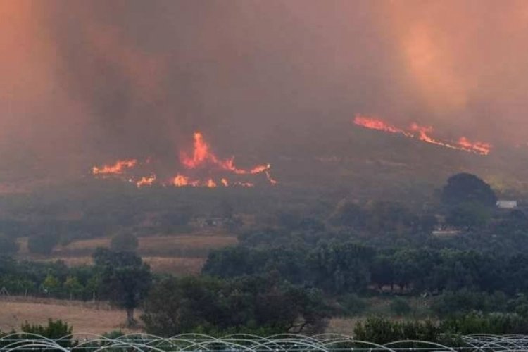 Orman Genel M&uuml;d&uuml;rl&uuml;ğ&uuml; duyurdu: Bursa dahil bir &ccedil;ok b&ouml;lgede toplam 334 yangın yaşandı