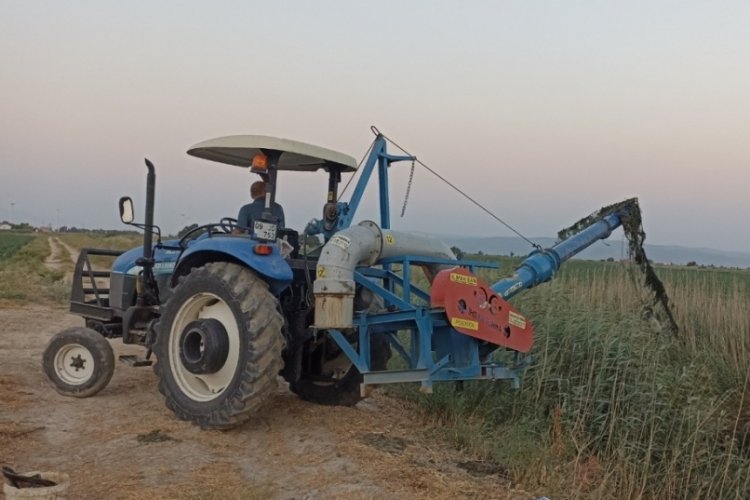 Aydın'da  su krizi: S&ouml;ke Ovası'nda susuzluk alarm &ccedil;aldı!