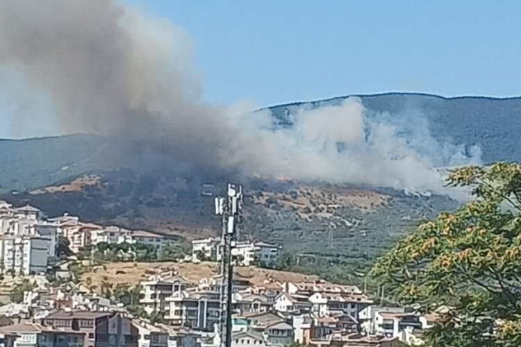 Erdek'te orman yangını: Ekipler m&uuml;dahaleye başladı!
