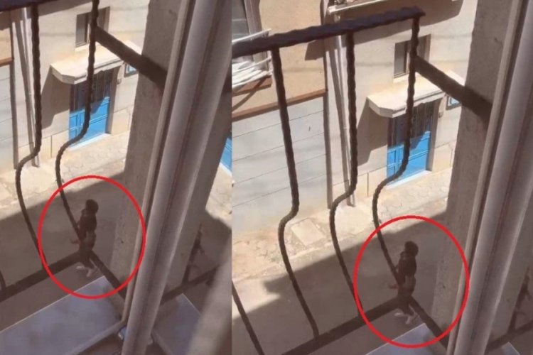 K&ouml;peğine şiddet uygulayan zanlı, yeniden g&ouml;zaltına alındı