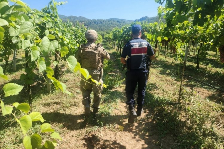 Sakarya'da 7 ayda 81 hırsızlık olayı meydana geldi
