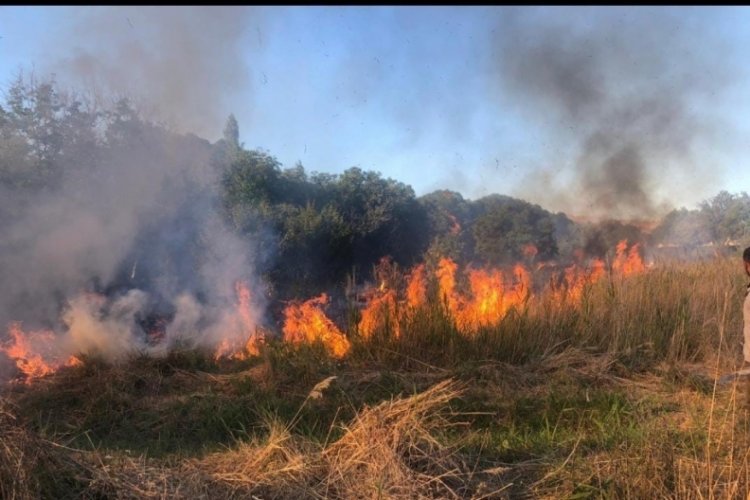 Malatya'da 4 ayrı noktada anız ve orman yangını