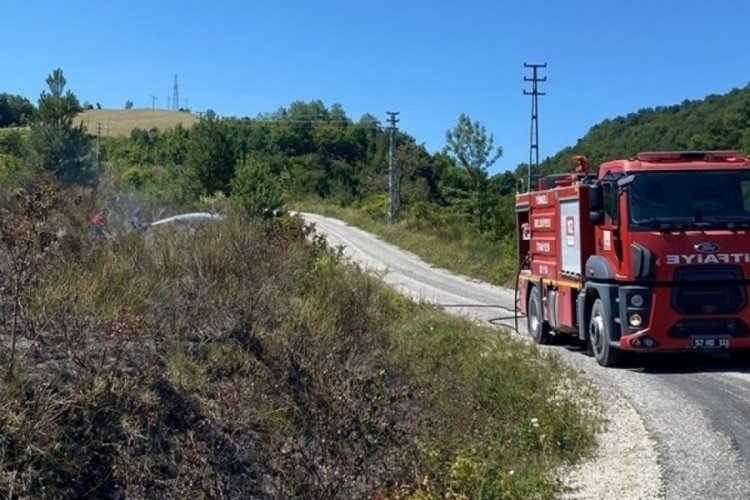 Sinop'ta orman yangını!