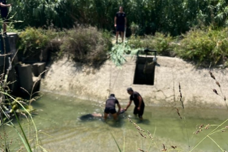 Sulama kanalında erkek cesedi bulundu