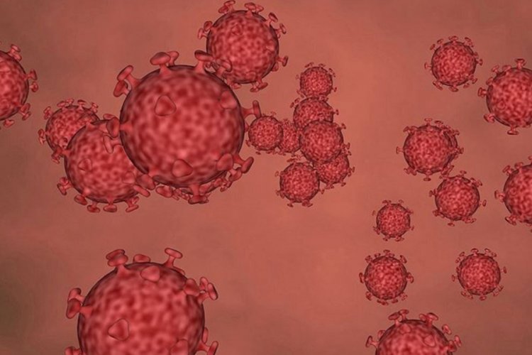Avustralya'da lejyoner salgını nedeniyle 2 kişi hayatını kaybetti
