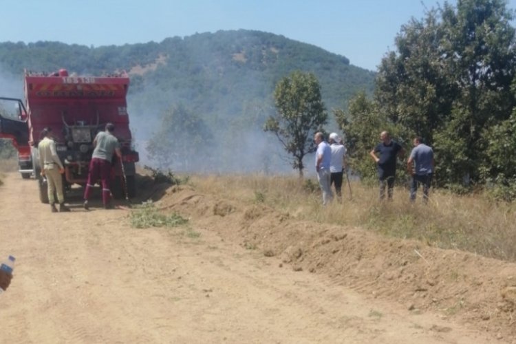 Bursa'da tarım arazisinde çıkan yangın söndürüldü 