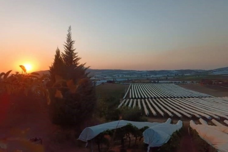Manisa'da g&uuml;n batımı kartpostallık g&ouml;r&uuml;nt&uuml;s&uuml;yle mest etti!