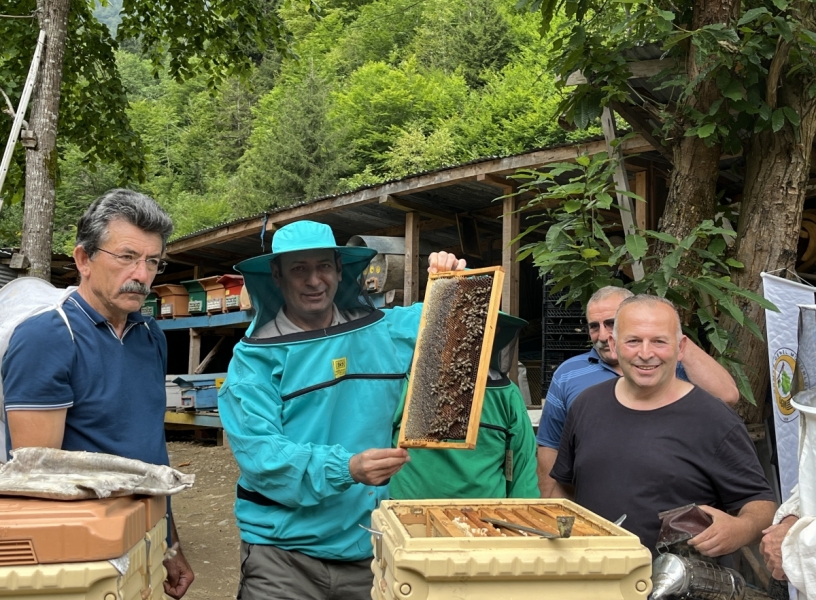 Artvin'de arıcıların y&uuml;z&uuml; g&uuml;l&uuml;yor:Bal sezon hasadı başladı!