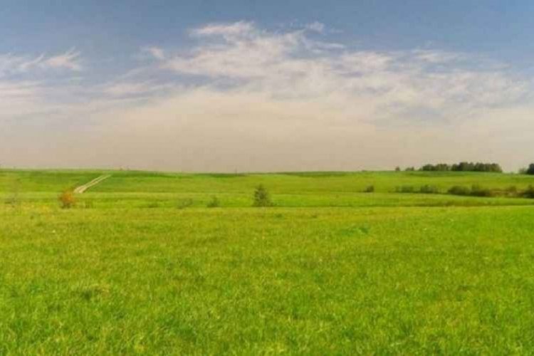 Bursa Mustafakemalpaşa'da &ccedil;oklu tarla satışı!