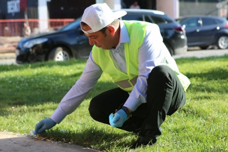 Bolu'da yere &ccedil;&ouml;p atan 1297 kişiye ceza kesildi