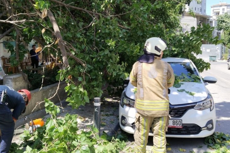 Kadık&ouml;y'de g&uuml;neşten &ccedil;&uuml;r&uuml;yen ağa&ccedil; otomobilin &uuml;zerine devrildi