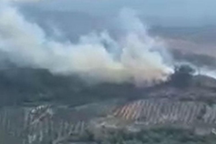 Manisa'da orman yangını! Ekipler m&uuml;dahale ediyor