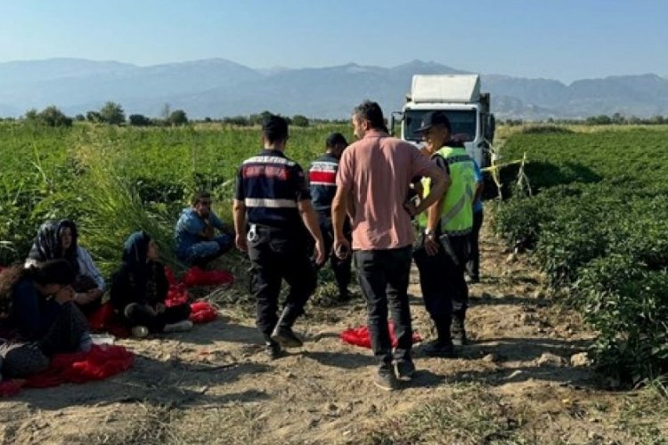 Tarlada uyuyan &ccedil;ocuğu ezince &ouml;ld&uuml;r&uuml;ld&uuml;