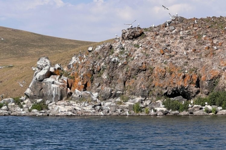 Ağrı'da balık göl sevimli kuşlar için temizlik seferberliğine başladı!