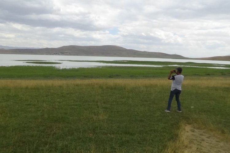 Van'ın kuş cenneti  akg&ouml;l  sevmli dostlarını ağırlamaya devam ediyor