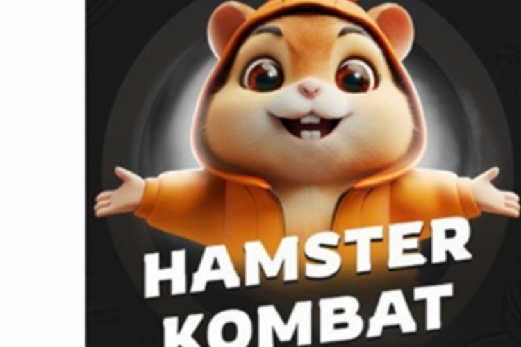 YENİ HAMSTER KOMBAT G&Uuml;NL&Uuml;K ŞİFRE 7 Ağustos 2024