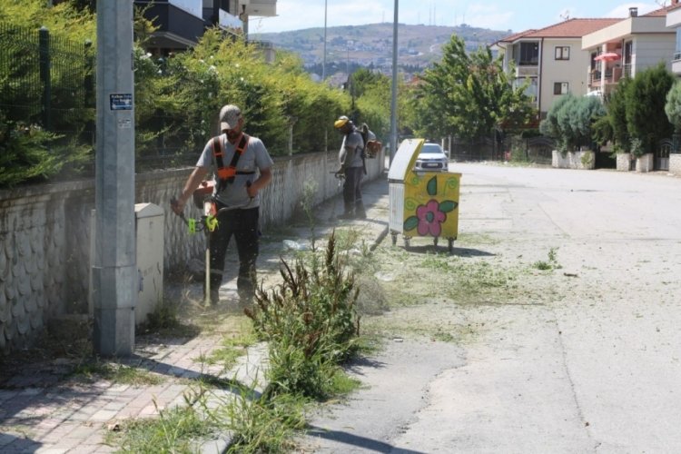 Sakarya'da yaşam alanları estetik görünümüne kavuştu!