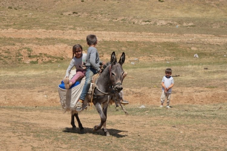 Muş'ta yaylada yaşayan &ccedil;ocuklar doğanın keyfini s&uuml;r&uuml;yorlar!