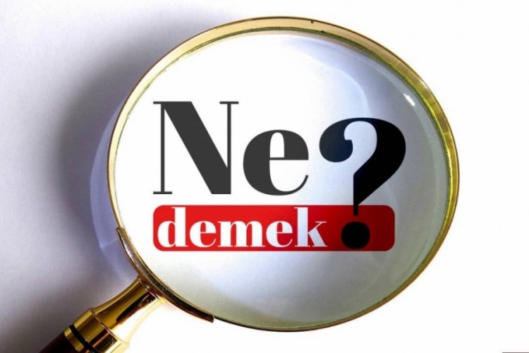 Lavuk ne demek? Lavuk kelimesinin TDK sözlük anlamı nedir? Lavuk kelimesi Türkçe mi?