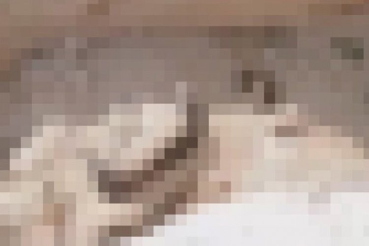 Niğde'de k&ouml;pek katliamı iddiası: Niğde Belediyesi a&ccedil;ıklama yaptı