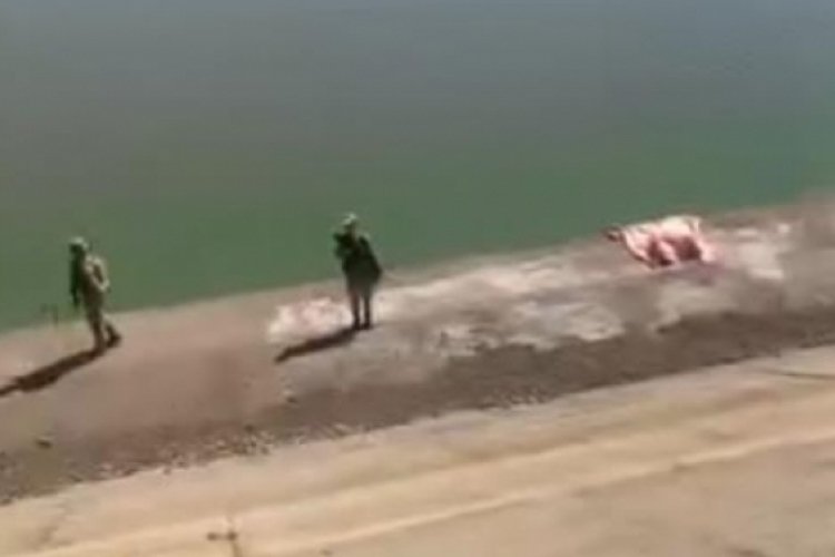 Şanlıurfa &Ccedil;amurlu Barajı'nda bir kadın cesedi bulundu